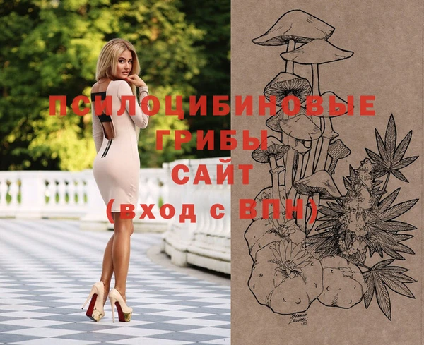 эйфоретик Зеленокумск