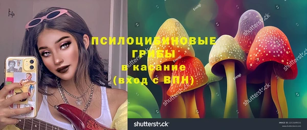 эйфоретик Зеленокумск