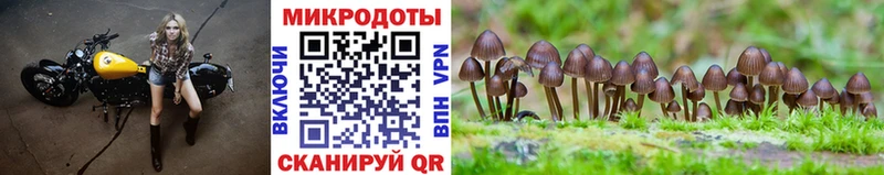 Купить где  Салехард  Псилоцибиновые грибы мухоморы 