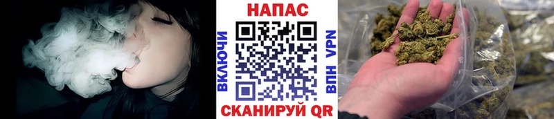 Шишки марихуана SATIVA & INDICA  Купить где  Салехард 